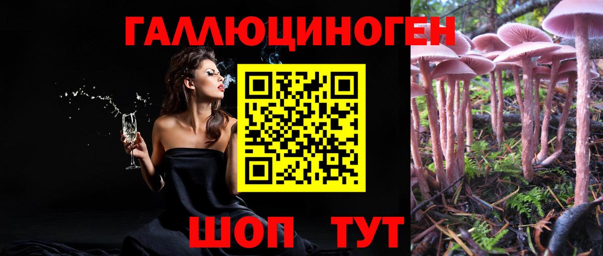 Галлюциногенные грибы Psilocybine cubensis Клин