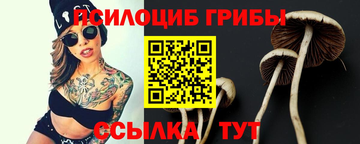 Клин  Галлюциногенные грибы Cubensis  Вход с VPN 